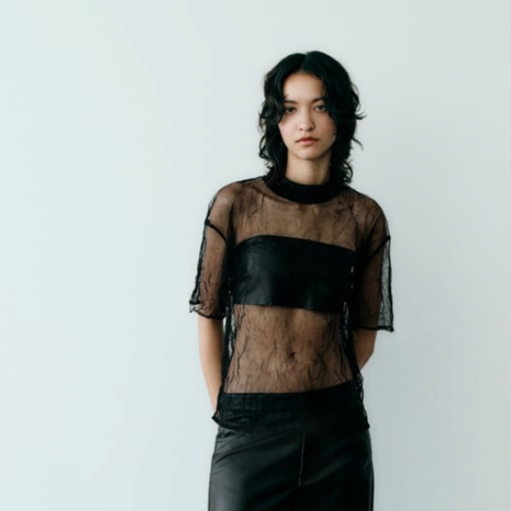 Zara WRINKLED TULLE TOP